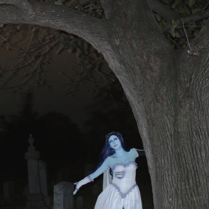Midnight cemetery outdoor half-body dynamic shot of @Kaysie leaning beside thick tree trunk, arms outstretched dynamic pose, dark floral wreath headpiece, long sheer veil hanging down the back, gradient printed corset bodice clearly presented